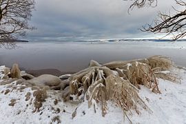 Frozen von Michel Kant