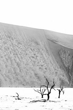 Deadvlei in black and white, Namibia by Suzanne Spijkers