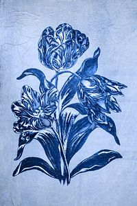 Tulpe in Delfter Blau.