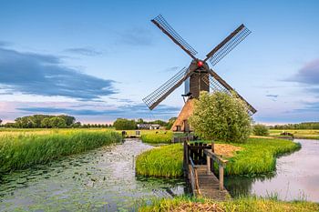 Windmühle Noordeveld