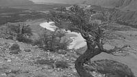 Valle Rio de las Vueltas, Patagonien