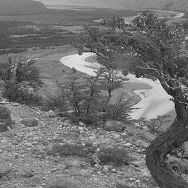 Valle Rio de las Vueltas, Patagonien by Heike und Hagen Engelmann