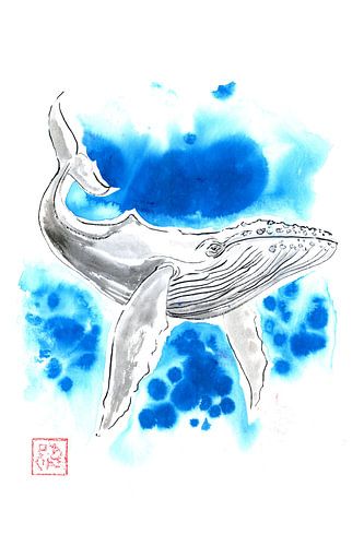 turquoise whale by Péchane Sumie