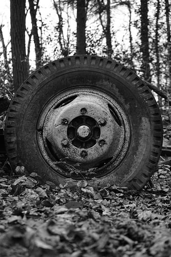 Autowheel