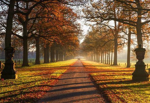 Kasteellaan singraven van Antoon Morsink