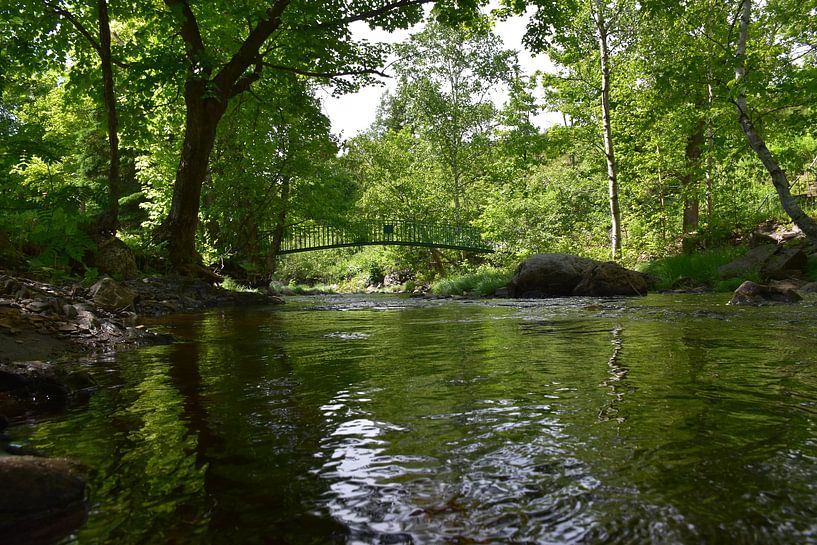 The river in the park in summer by Claude Laprise