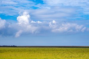 Wattenmeerdeich im Nordosten von Friesland von Evert Jan Luchies