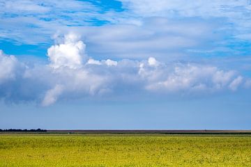 Digue de la mer des Wadden au nord-est de la Frise sur Evert Jan Luchies