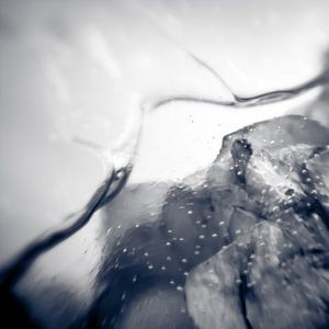 Frozen VII