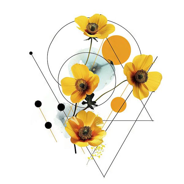 Ranunculus harmony - Ranunculus artwork by Poster Art Shop