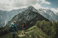 Bergwandelaars