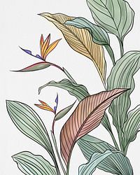 Paradijselijke bruiden