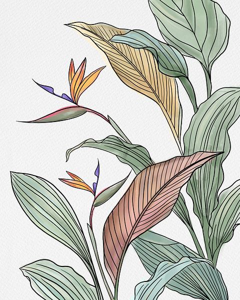 Brids of Paradise by Petra Lizde