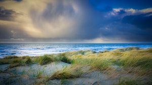 dunes aux Pays-Bas  sur eric van der eijk