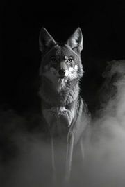 Wolf by Poster Art Shop