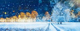Winterlandschap met weg