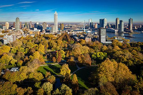 Indian Summer in Rotterdam