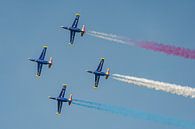 Groupe Tranchant Fouga CM170 Magister F-GJMN F-GSYD Nîmes van Jolanda Aalbers thumbnail