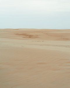 Rabjerg Meile V