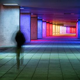 Rob van der Wal Profile picture