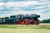 Dampflokomotive fährt durch die Landschaft von Sjoerd van der Wal Fotografie Miniaturansicht