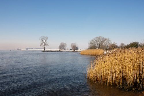 Rivière en hiver