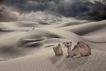 Two in the desert van Ursula Di Chito