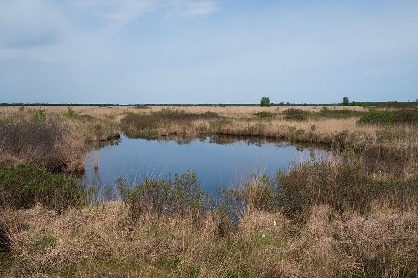 Engbertsdijksvenen by Lambertus van der Vegt