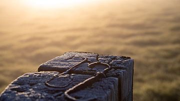 Close-up pole in morning light by Percy's fotografie