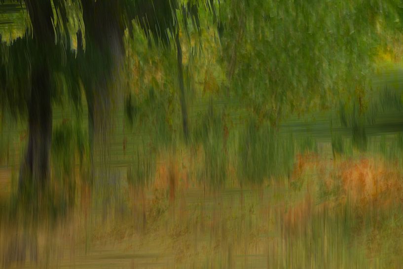 Forest with camera painted by Mirjam Leyte