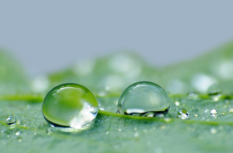 Drops in green... (Two drops in green) by Caroline Lichthart