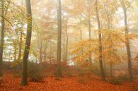 Herfst en Nevel 2 by Joop de Lange thumbnail