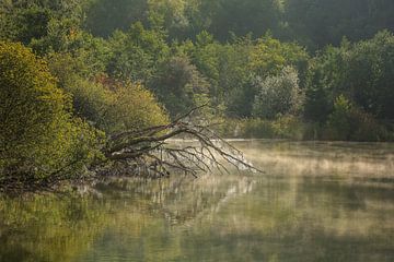 Schwackenreuter Gezien landschap aan het meer bij Mühlingen van BlattArt - Christine Horn