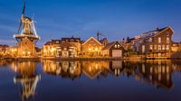 Ligne d'horizon de Spaarne par Scott McQuaide Aperçu