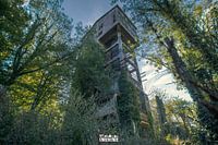 Oude betonfabriek, overgenomen door de natuur.