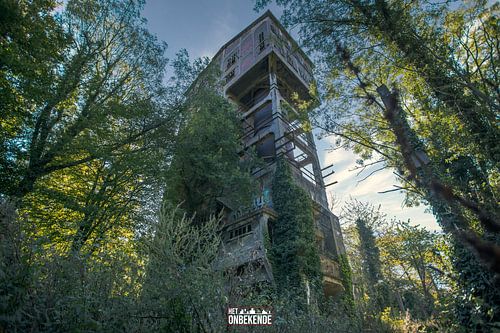 Oude betonfabriek, overgenomen door de natuur.