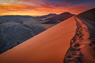 Geen beloning zonder inspanning van Loris Photography thumbnail
