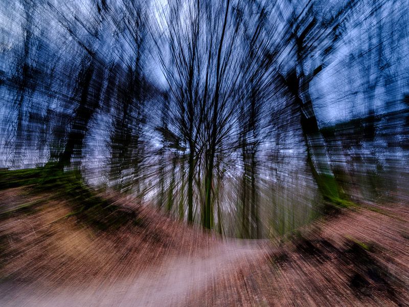 Leuvenum Wald von Eddy Westdijk