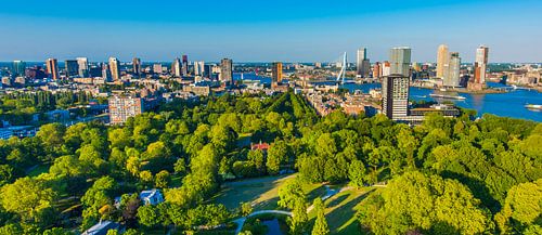 Rotteram skyline Green