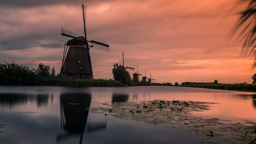 Kinderdijk by Steven Poulisse