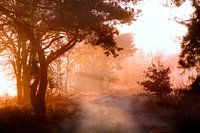 Crépuscule rouge