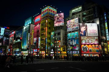 Akihabara in Japan vol neonverlichting van Mylène Amoureus