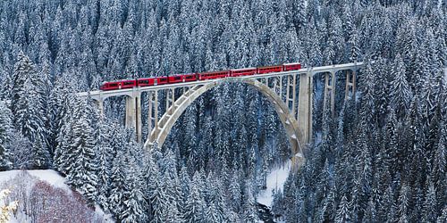 Rhätische Bahn auf dem Langwieser Viadukt in der Schweiz von Werner Dieterich