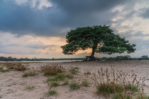 Soester Duinen