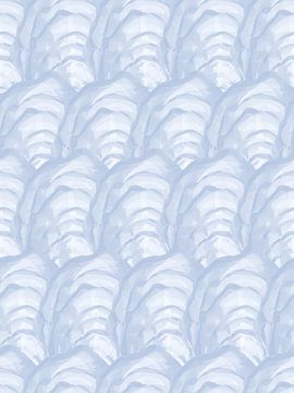 Oyster Shells by Jolly and Dash