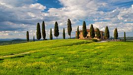 Agriturismo I Cipressini - Val d'Orcia