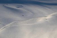 Des formes abstraites dans la neige blanche