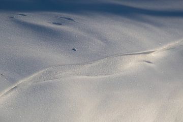 Abstracte vormen in de witte sneeuw van Anne Ponsen