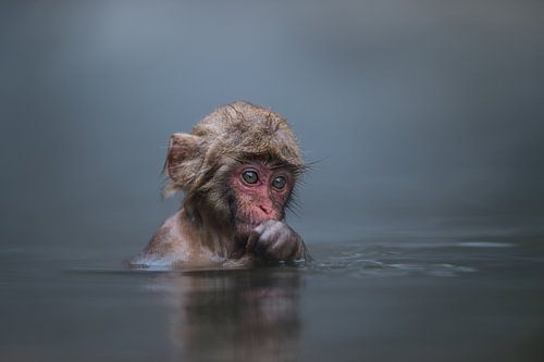 In gedachten verzonken