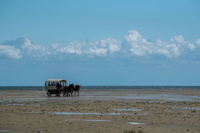 Paard en wagen op de wadden van Meint Brookman